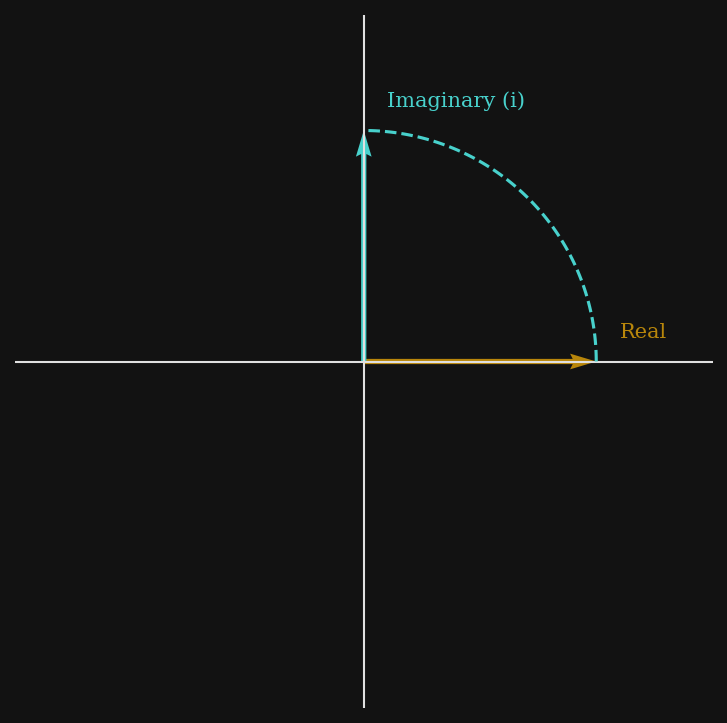 Imaginary Numbers Are Real